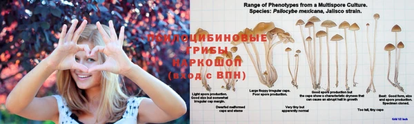 MDMA Premium VHQ Белоозёрский